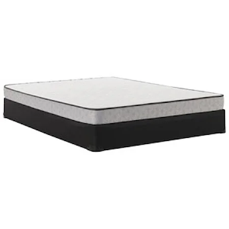 Queen 5 1/2" Innerspring Tight Top Mattress and Low Profile Base 5" Height